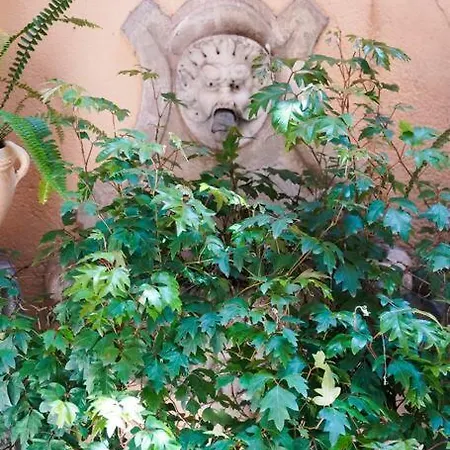 Babuino Terrace Apartment Rome Exterior photo
